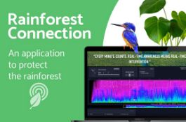 Rainforest Connection: D3.js Development and Data Visualization